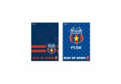Bloc desen A4 16 file Steaua Pigna