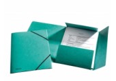 Mapa A4 lux din carton cu elastic Esselte verde